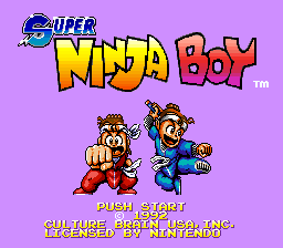 Super Ninja Boy