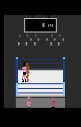 Pro Wrestling