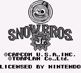 Snow Brothers