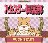 Hamster Club