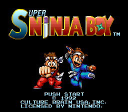 Super Ninja Boy