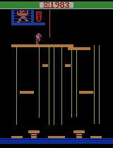 Donkey Kong Junior