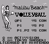 Malibu Beach Volleyball