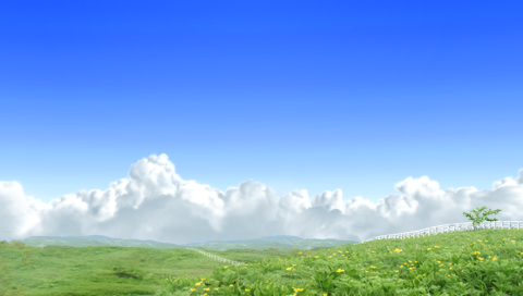 Derby Stallion