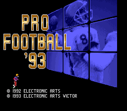 Pro Football '93