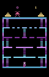 Spider Kong