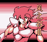 风之谷II (新特奇)