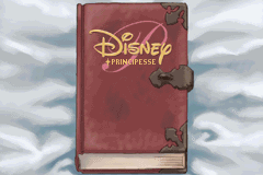 Disney Principesse