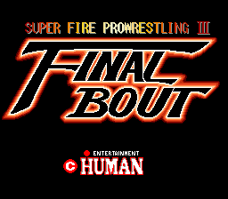 Super Fire Pro Wrestling 3