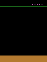 Stronghold