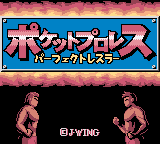 Pocket Pro Wrestling - Perfect Wrestler