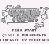 Burning Paper