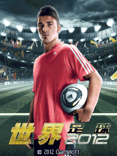 世界足球2012中文版