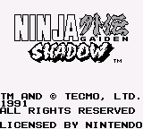 Ninja Gaiden Shadow