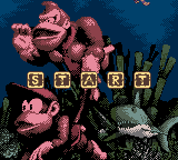Donkey Kong 2001