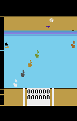 Duck Shoot