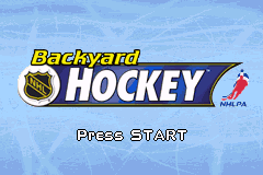 冰球院场 Backyard Hockey