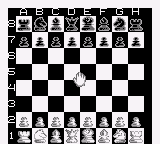 Chessmaster, The